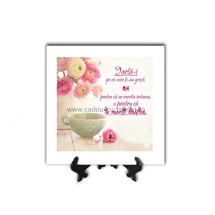 Tablou vintage - Iartă-i pe cei care ți-au greșit (20x20 cm) Tablou vintage - Iartă-i pe cei care ți-au greșit (20x20 cm)