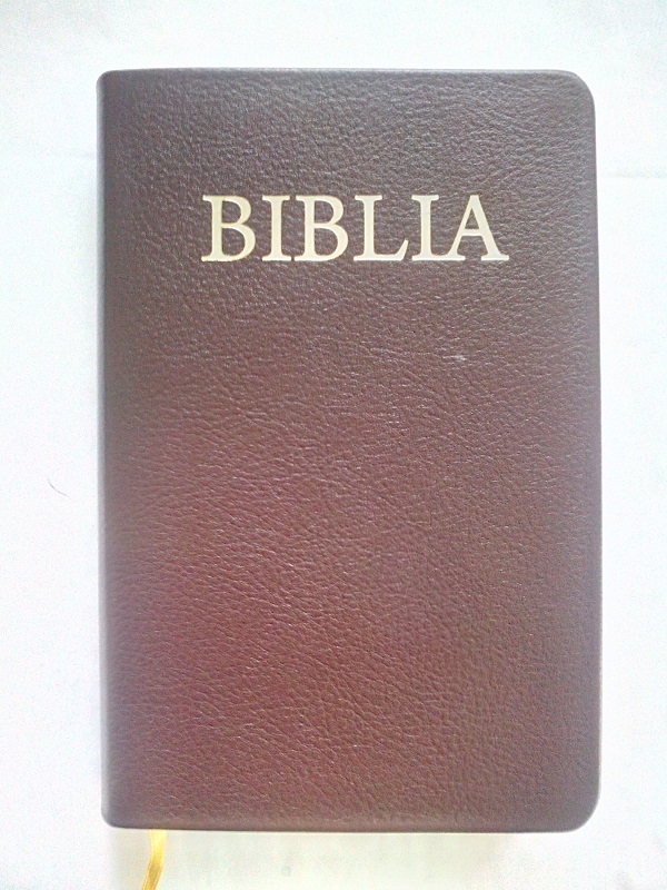 Biblia marime medie, culoare maro, aurita, piele [CB 053]