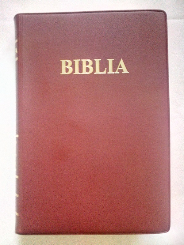 Biblia marime medie, visinie, vinil, fara fermoar, margini aurii [052 IP]