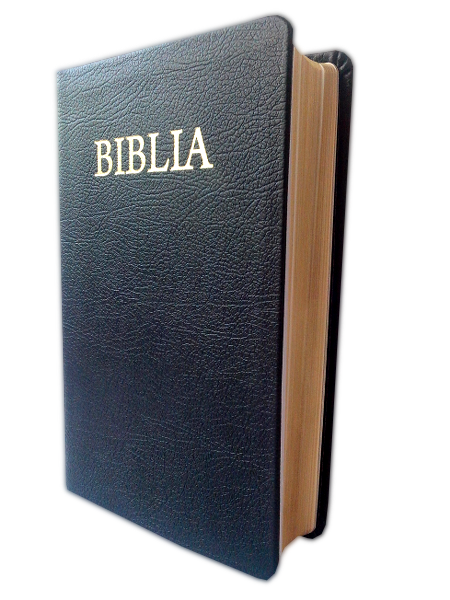 Biblia din piele, neagra, margini aurii, cuv. lui Isus cu rosu [043 PR]