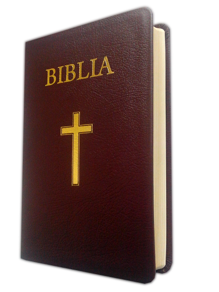 Biblia marime mare, din piele, visinie, aurita, cu cruce [073 P]