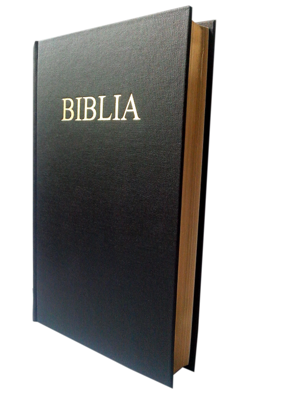 Biblie marime medie, cartonata, neagra, aurita, fara cruce [063 CTA]