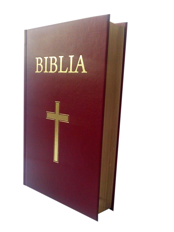 Biblie marime medie, cartonata, visinie, aurita, cu cruce [063 CTA]
