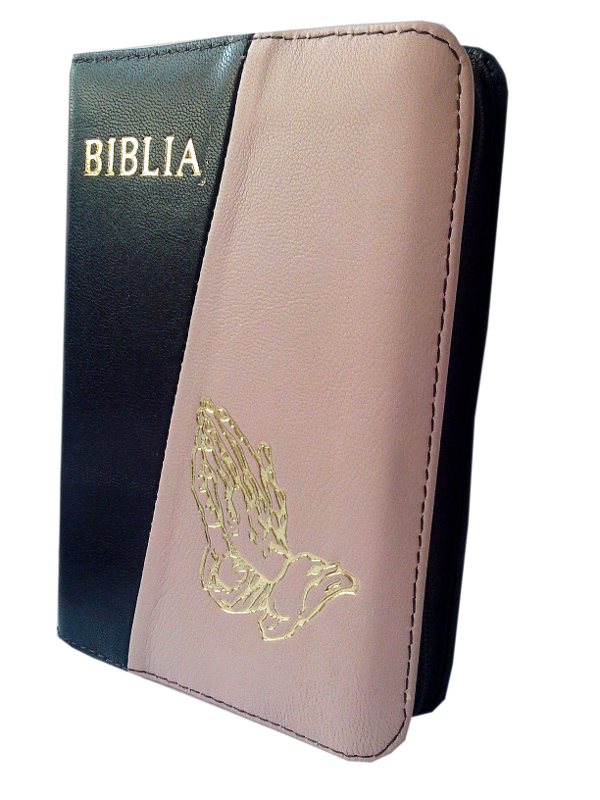 Biblie din piele, mica, maro inchis / roz pal, fermoar, aurita, cu maini, cuv. lui Isus in rosu [043 A]
