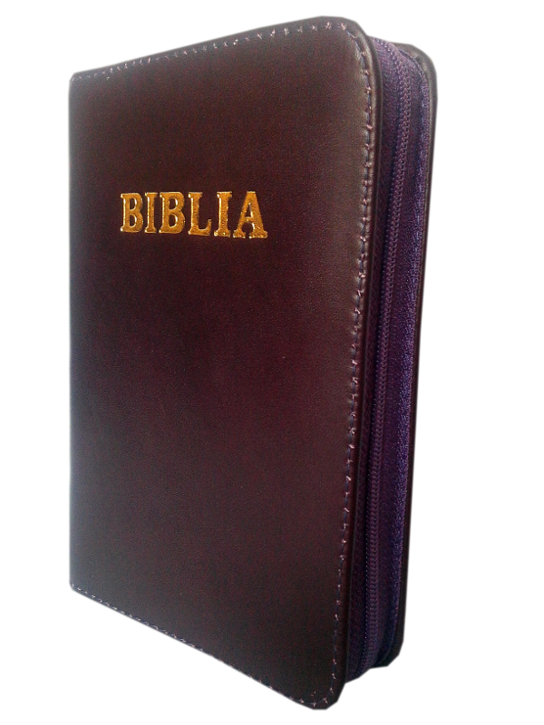 Biblie din piele, mica, violet, fermoar, aurita, cu maini in rugaciune, cuv. lui Isus in rosu [043 A]
