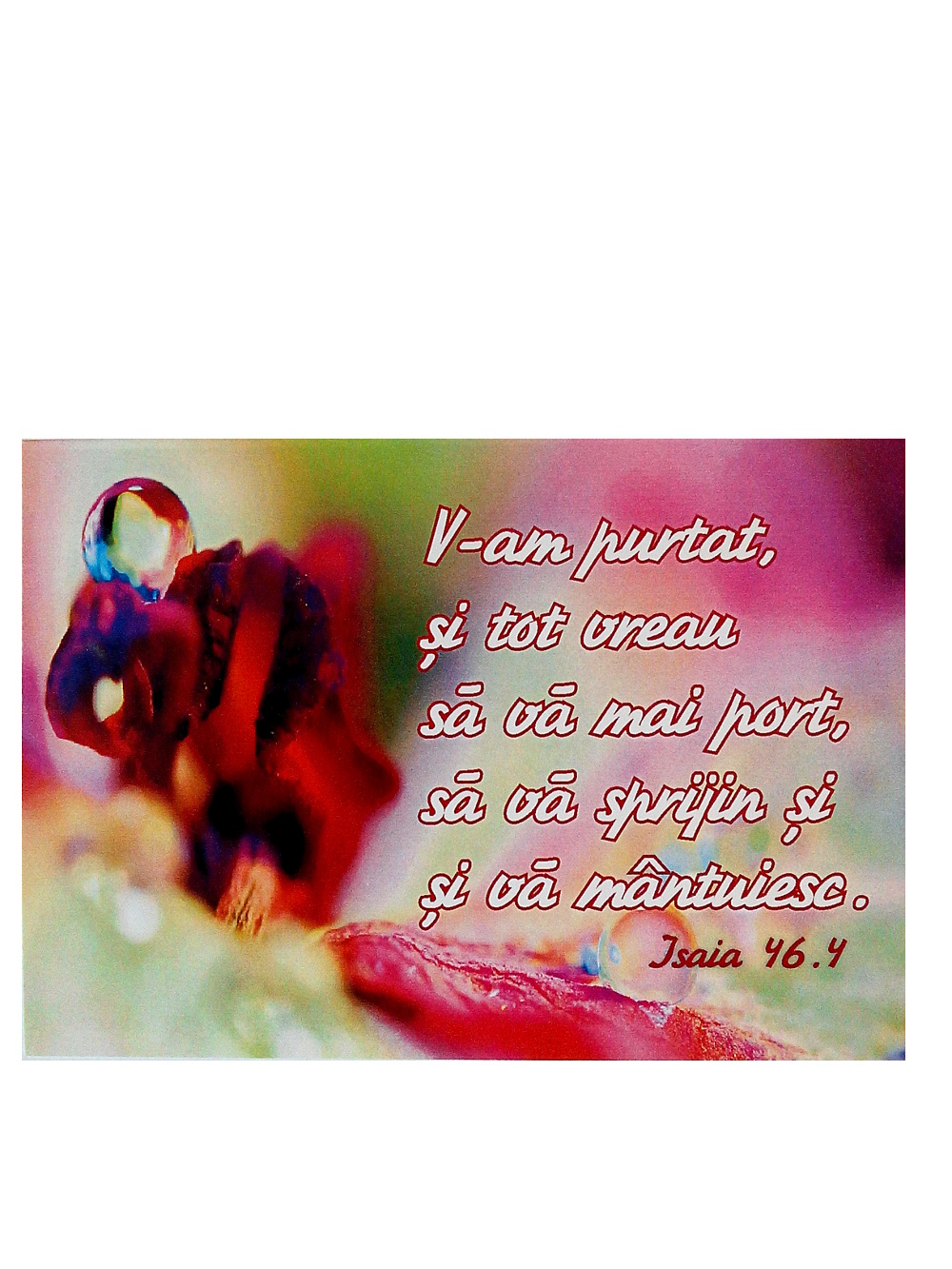 Felicitare A6 - V-am purtat si tot vreau sa va mai port Felicitare A6 - V-am purtat si tot vreau sa va mai port