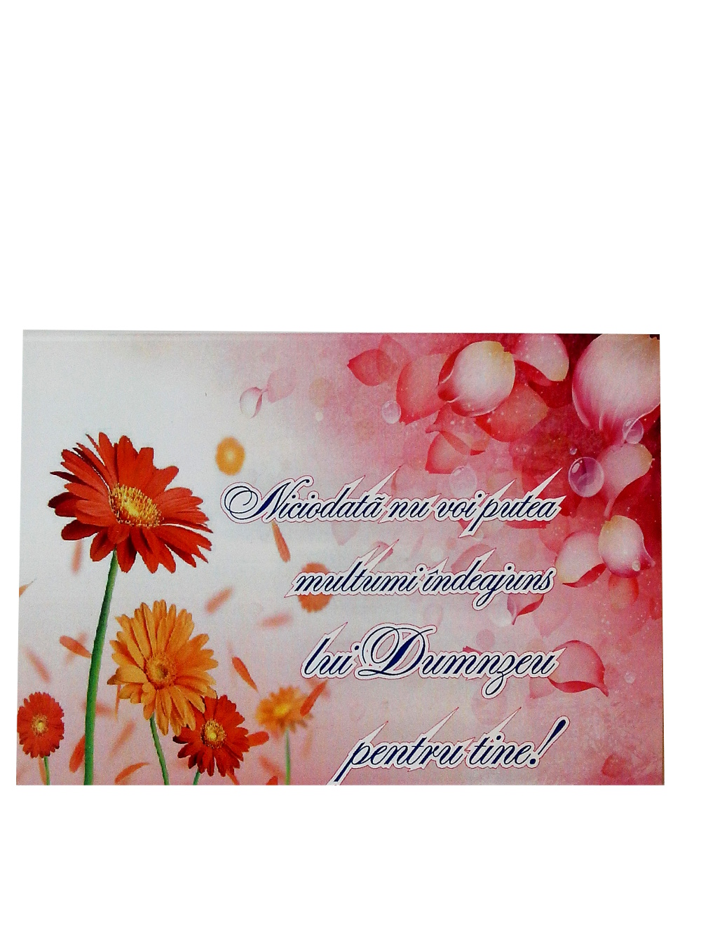 Felicitare A6 - Niciodata nu voi putea multumi indeajuns lui Dumnezeu Felicitare A6 - Niciodata nu voi putea multumi indeajuns lui Dumnezeu