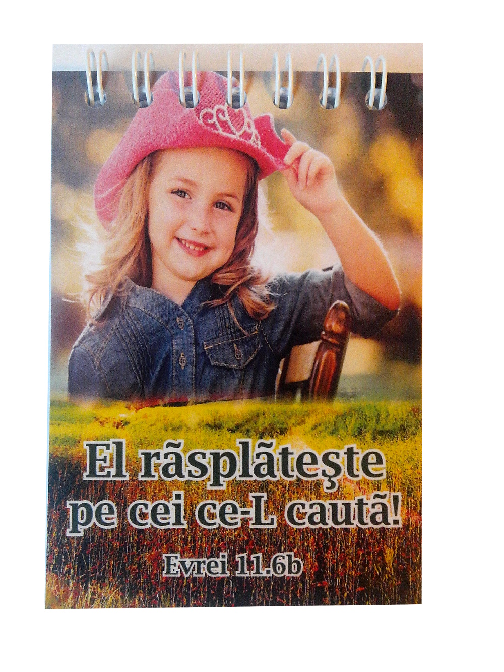 Carnetel mic - El rasplateste pe cei ce-L cauta Carnetel mic - El rasplateste pe cei ce-L cauta