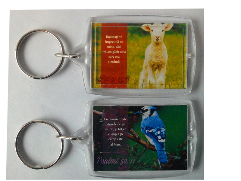 Breloc din plastic - Bucurati-va impreuna cu mine/ Eu cunosc toate pasarile Breloc din plastic - Bucurati-va impreuna cu mine/ Eu cunosc toate pasarile