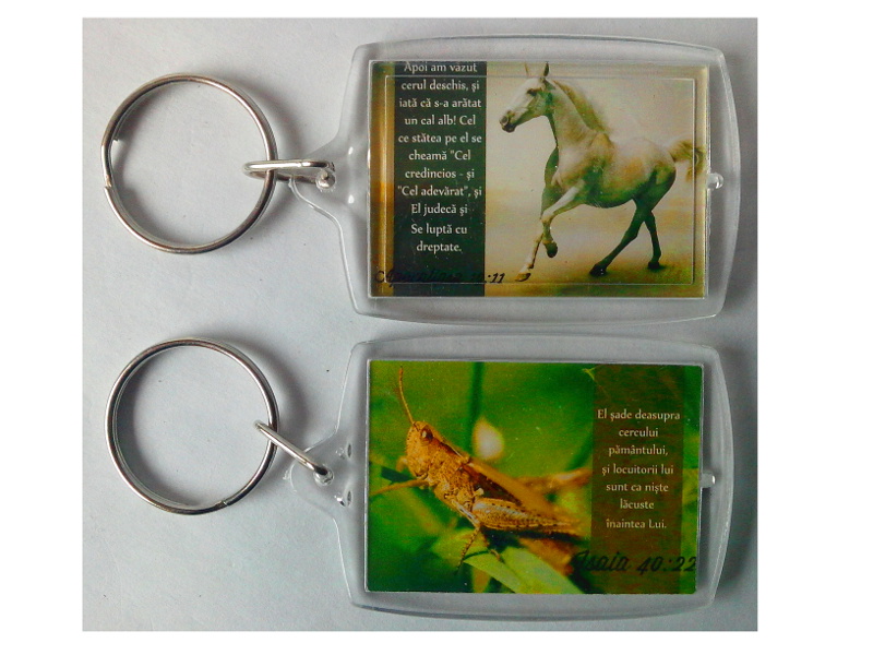 Breloc din plastic - El sade/ Apoi am vazut Breloc din plastic - El sade/ Apoi am vazut