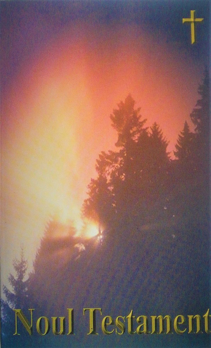 Noul Testament - traducerea în limba română contemporană