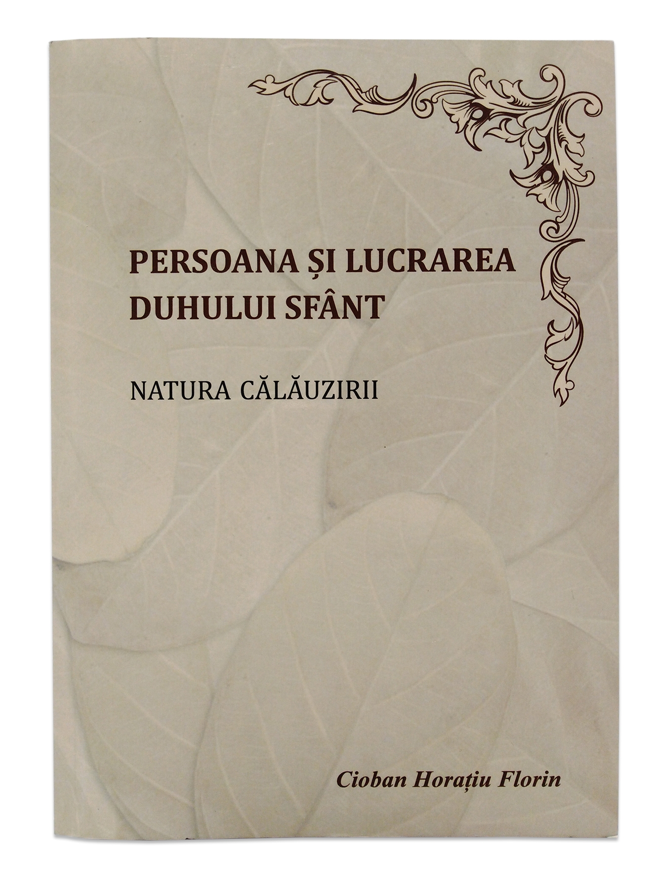 Persoana si lucrarea Duhului Sfant Persoana si lucrarea Duhului Sfant