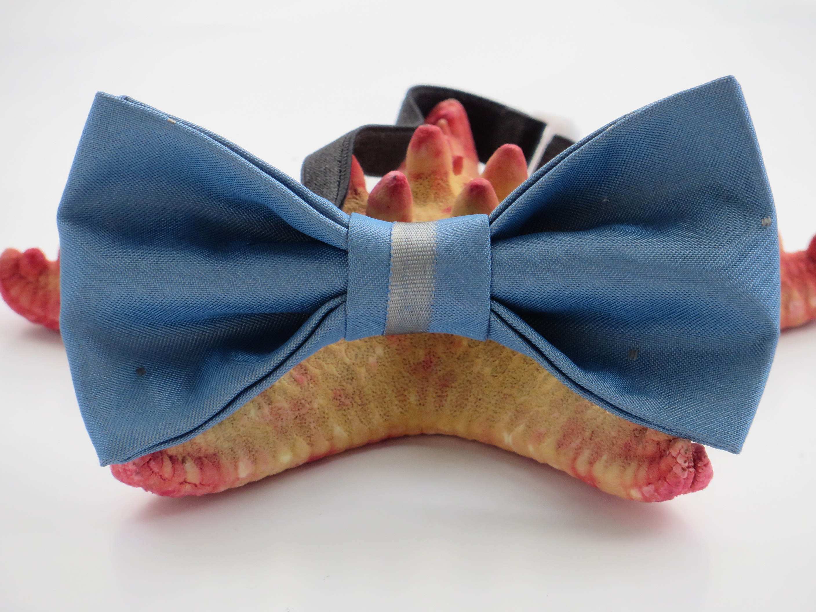 Papion satin imprimat Papion satin imprimat