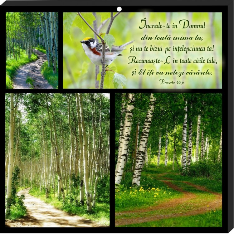 Tablou colaj vintage -Increde-te in Domnul(30x30 cm) Tablou colaj vintage -Increde-te in Domnul(30x30 cm)