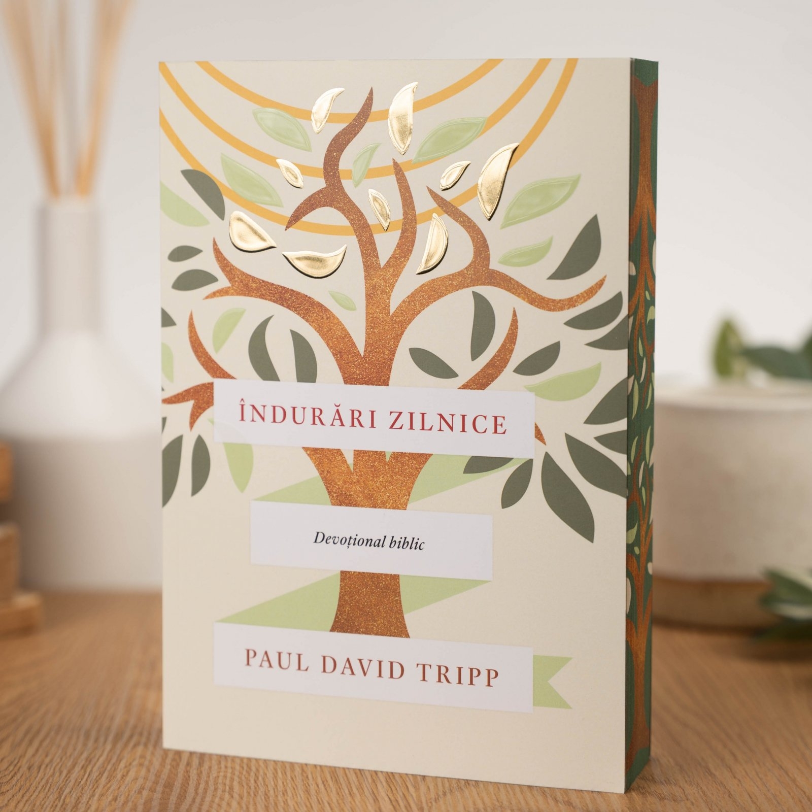Indurari zilnice - devotional biblic Indurari zilnice - devotional biblic