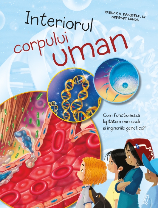 Interiorul corpului uman Interiorul corpului uman