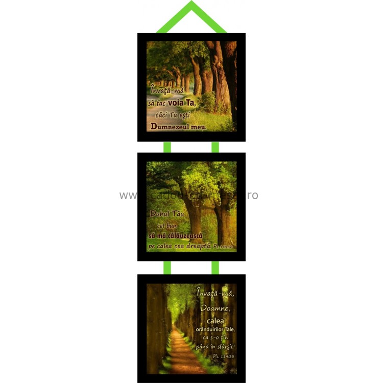 Învață-mă să fac voia Ta Învață-mă să fac voia Ta