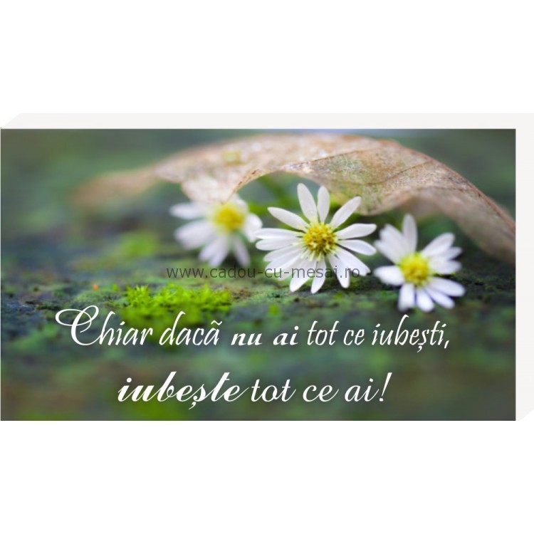 Iubește tot ceea ce ai- Placheta birou Iubește tot ceea ce ai- Placheta birou