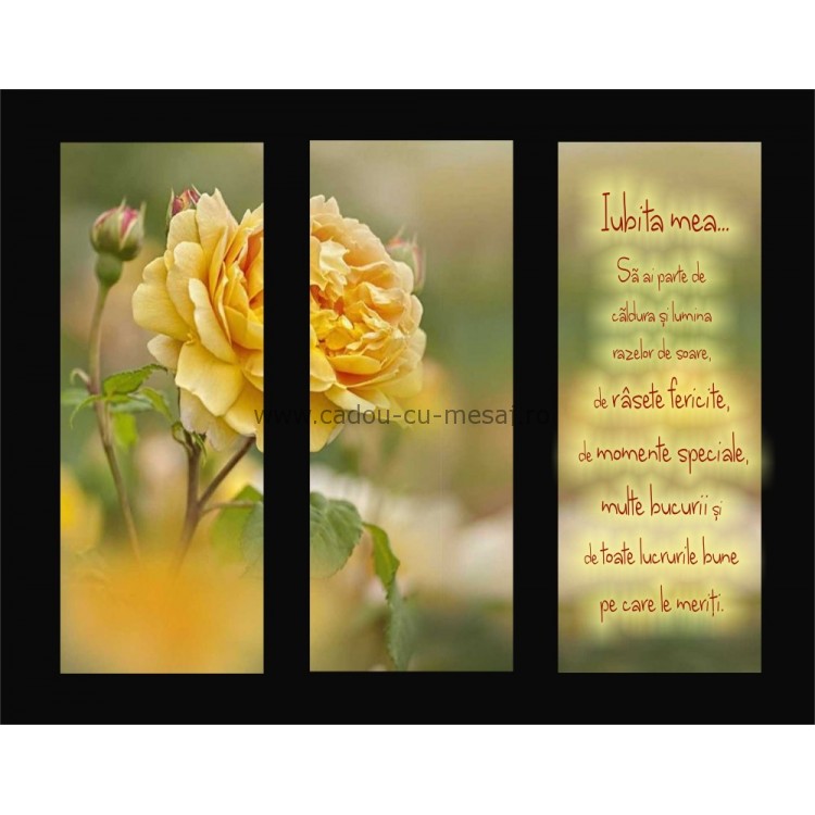 Placheta catifea - Iubita mea Placheta catifea - Iubita mea