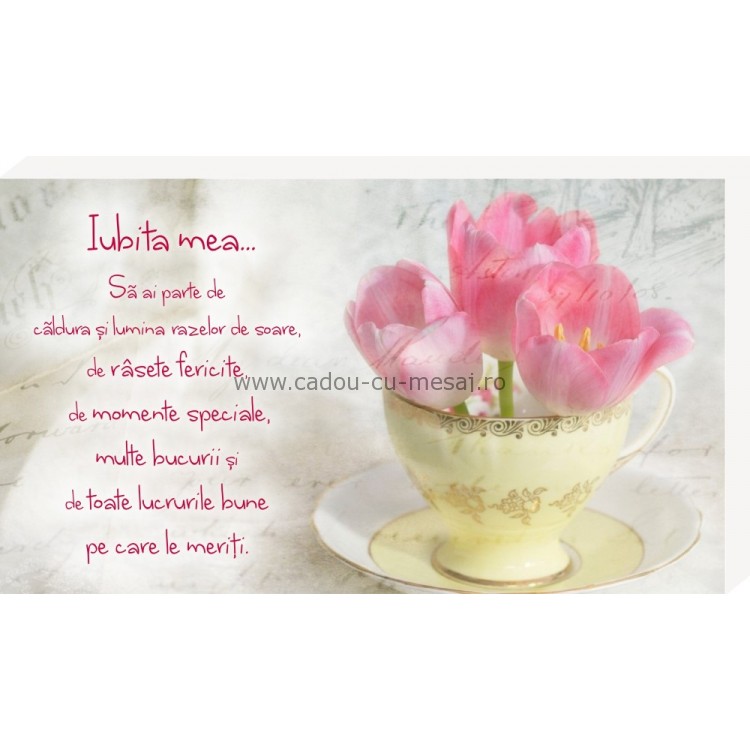 Iubita mea- Placheta birou Iubita mea- Placheta birou