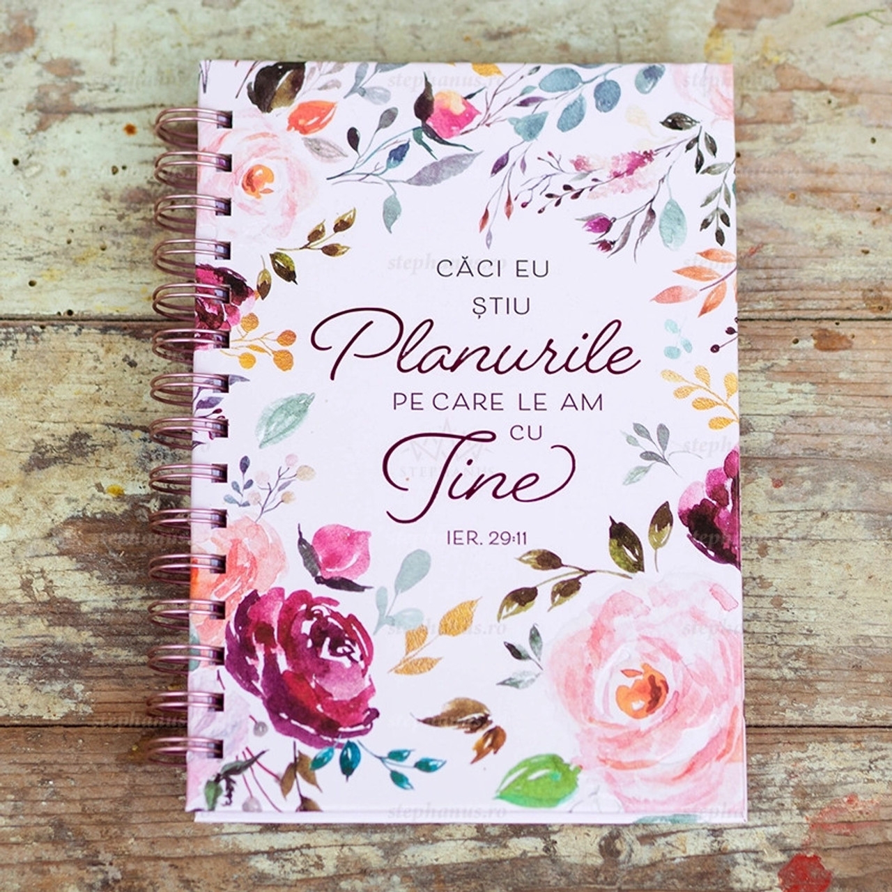 Jurnal: Căci Eu știu planurile pe care le am... Jurnal: Căci Eu știu planurile pe care le am...