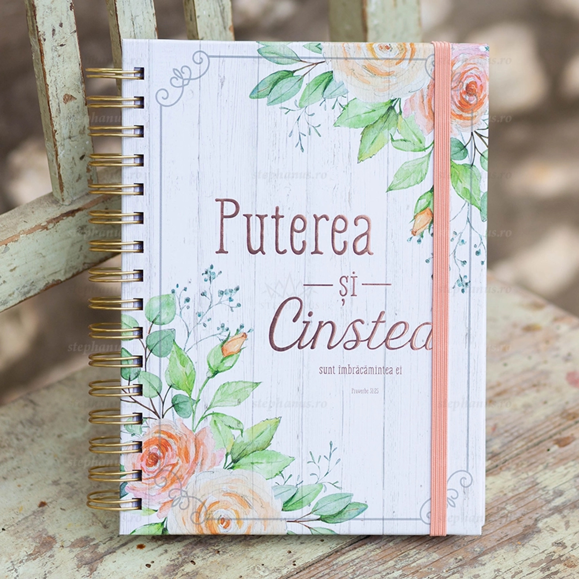 Jurnal: Puterea si cinstea sunt imbracamintea ei Jurnal: Puterea si cinstea sunt imbracamintea ei