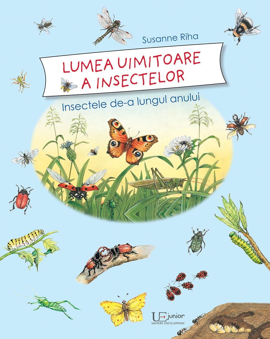 Lumea uimitoare a insectelor Lumea uimitoare a insectelor