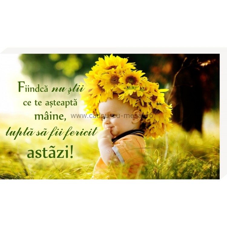 Luptă să fii fericit astăzi- Placheta birou Luptă să fii fericit astăzi- Placheta birou