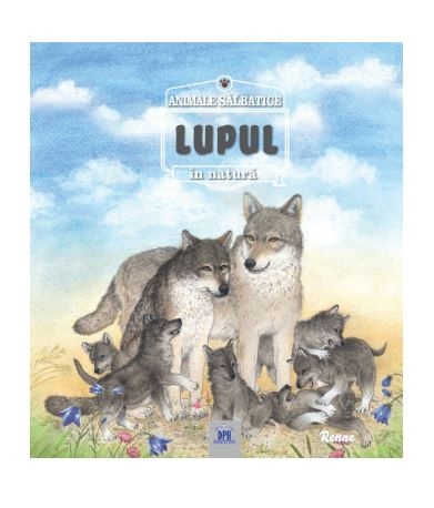 Animale salbatice in natura - Lupul Animale salbatice in natura - Lupul