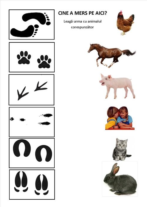 Pe urma urmelor… - Carte cu jocuri pentru copii Pe urma urmelor… - Carte cu jocuri pentru copii