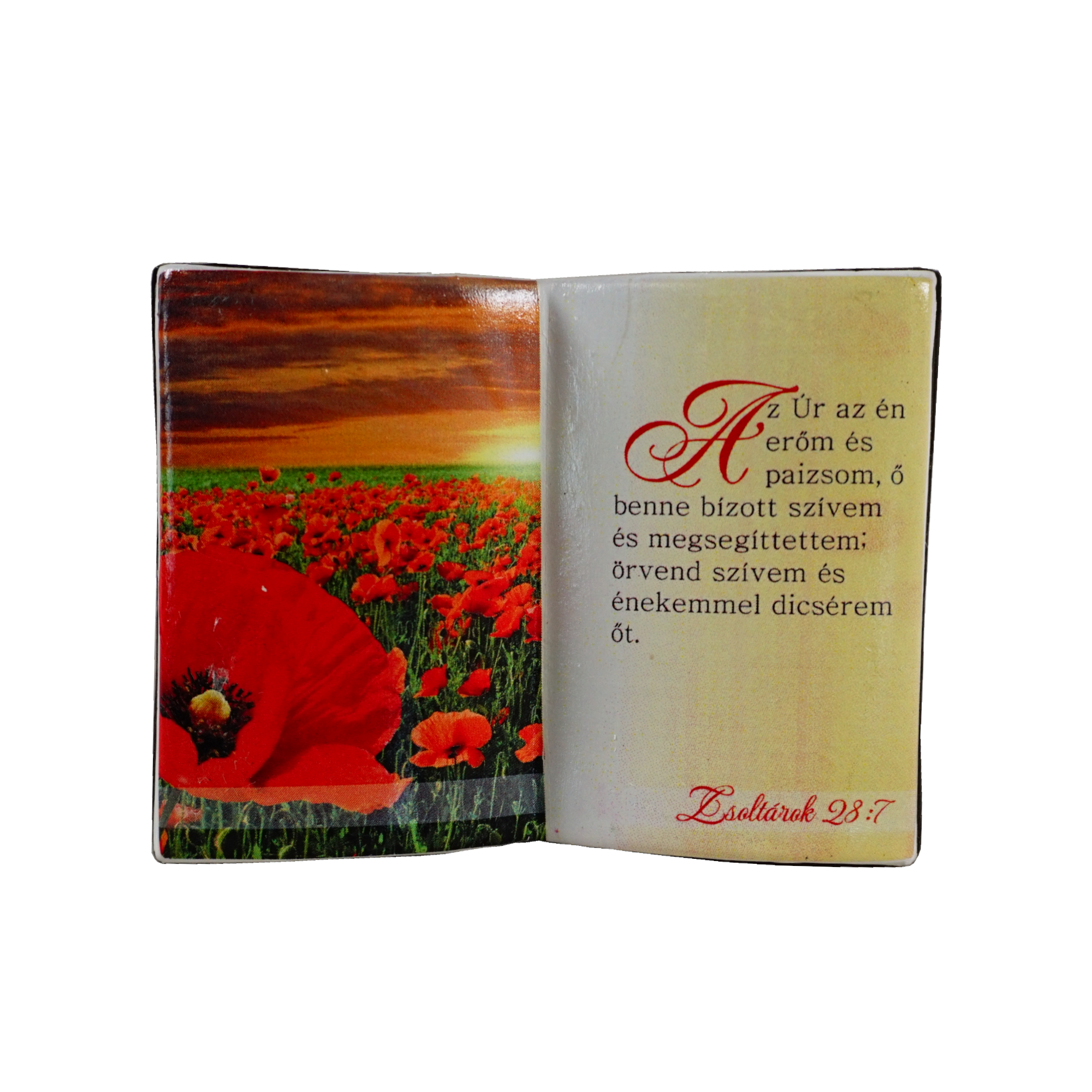 Suport de creioane verset (maghiara) - Design maci Suport de creioane verset (maghiara) - Design maci