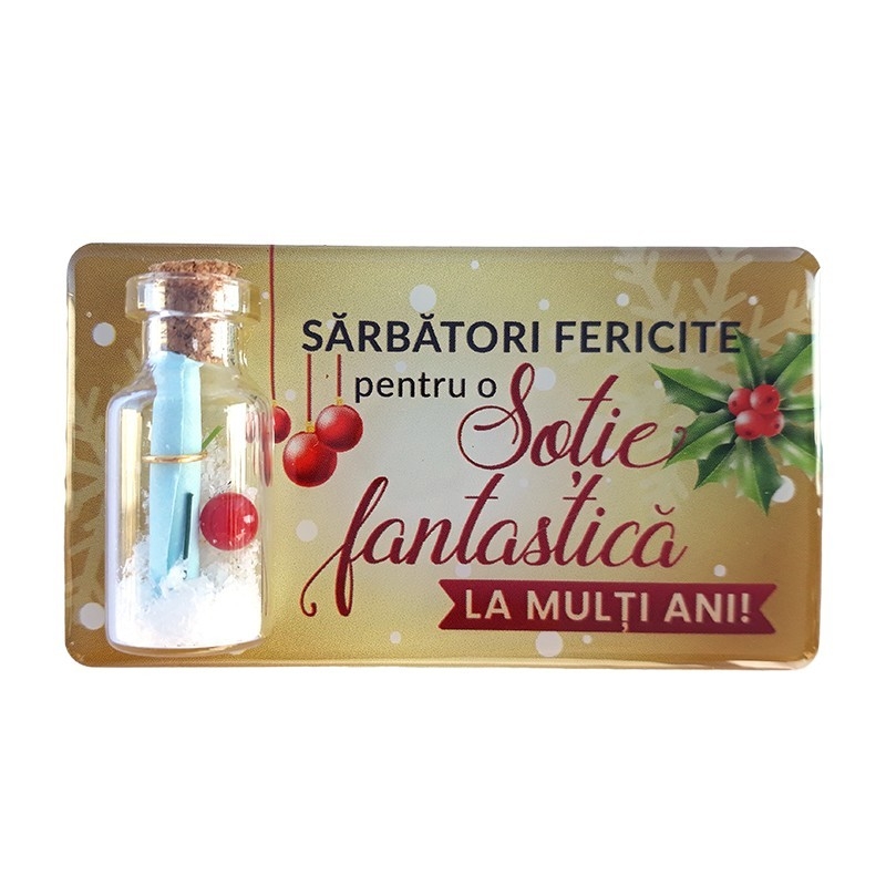 Magnet Craciun - sotie Magnet Craciun - sotie