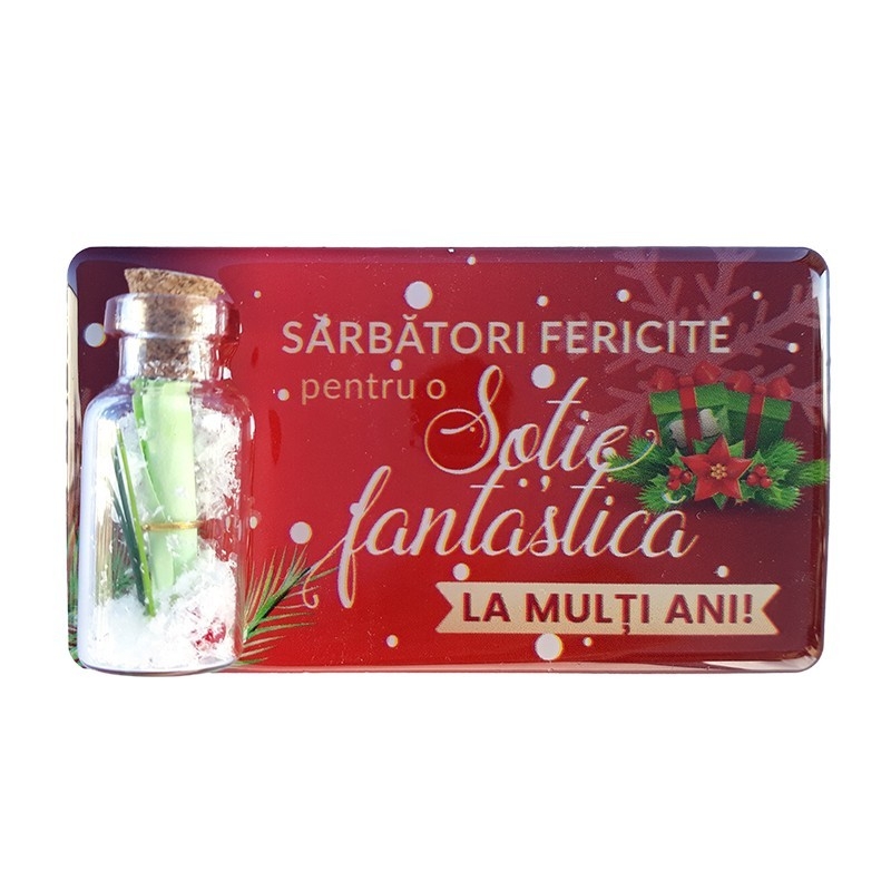 Magnet Craciun - sotie
