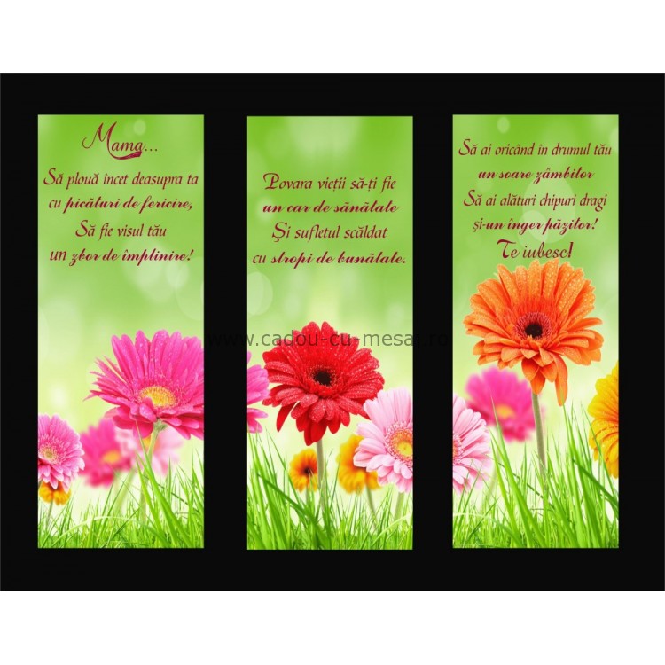 Placheta catifea - Mamă Placheta catifea - Mamă