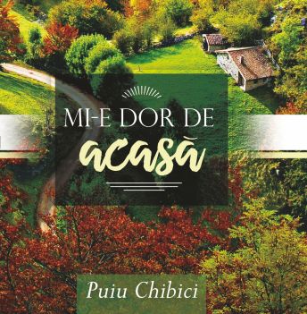 Muzica Crestina Puiu Chibici - CD Mi-e dor de acasa Muzica Crestina Puiu Chibici - CD Mi-e dor de acasa