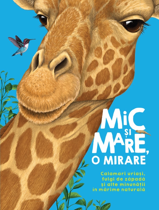 Mic şi mare, o mirare