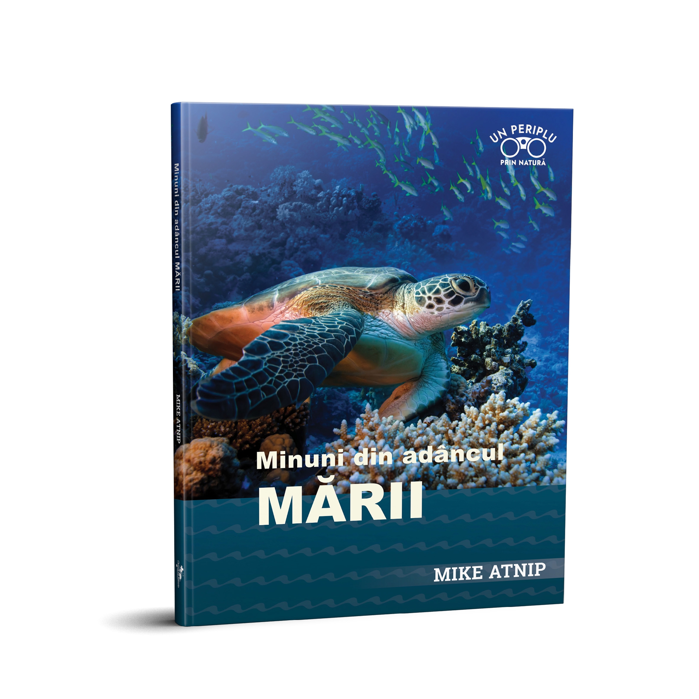 Minuni din adâncul mării Minuni din adâncul mării