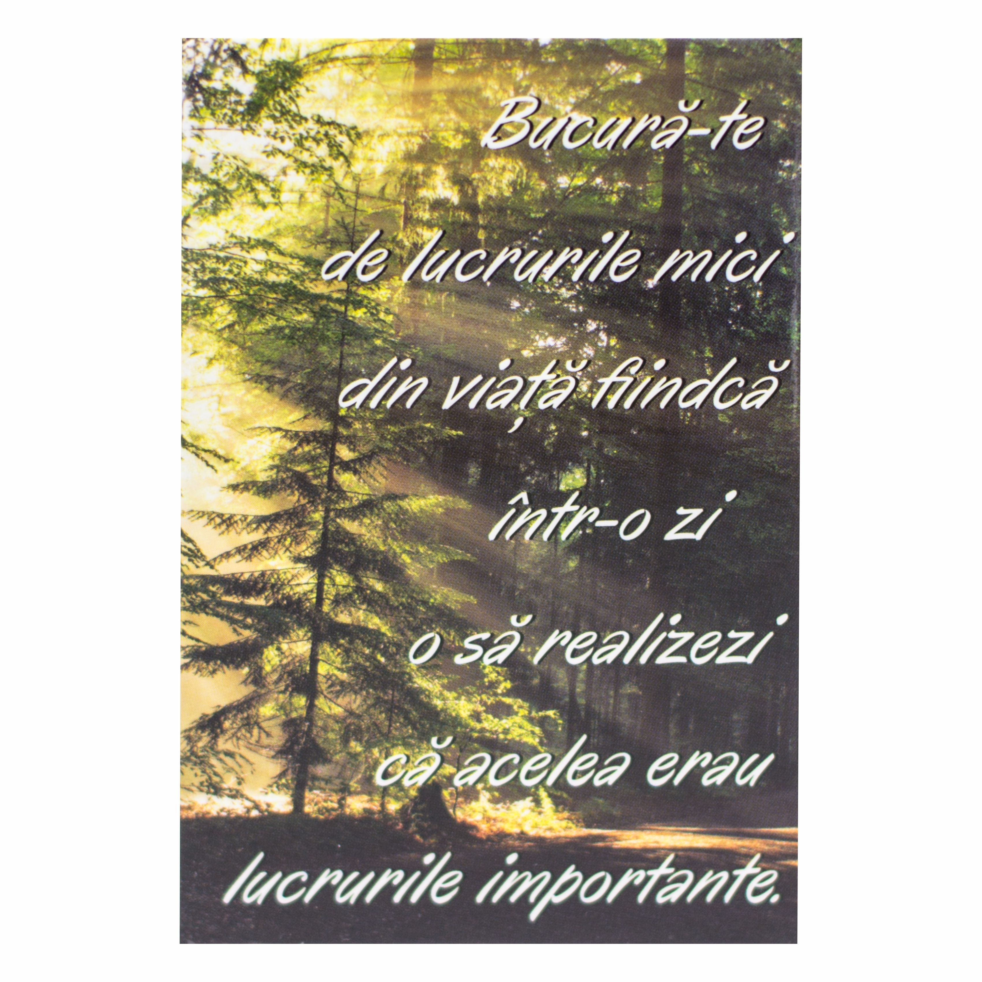 Magnet de frigider - Bucura-te de lucruile mici  (5.4  cm x 8  cm ) Magnet de frigider - Bucura-te de lucruile mici  (5.4  cm x 8  cm )