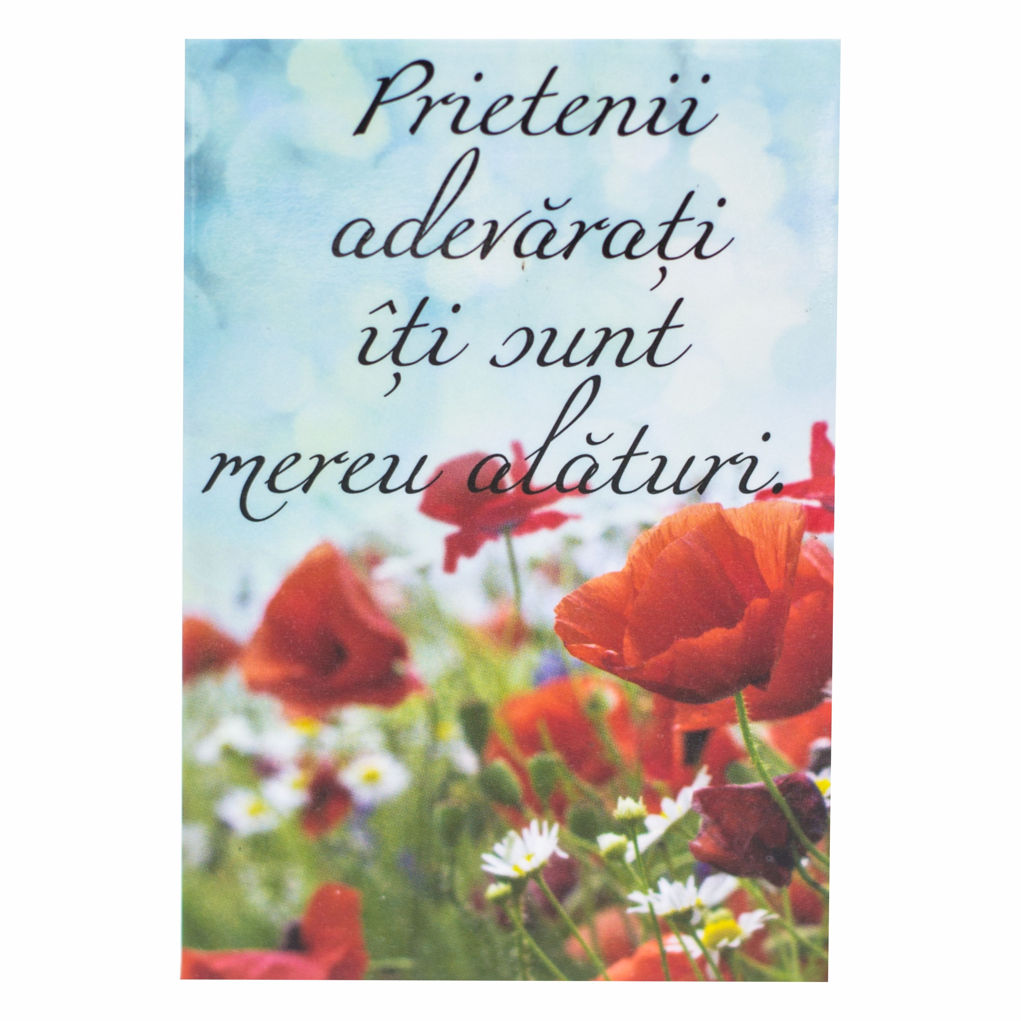 Magnet de frigider - Prietenii adevarati  (5.40 cm x 8 xm  ) Magnet de frigider - Prietenii adevarati  (5.40 cm x 8 xm  )