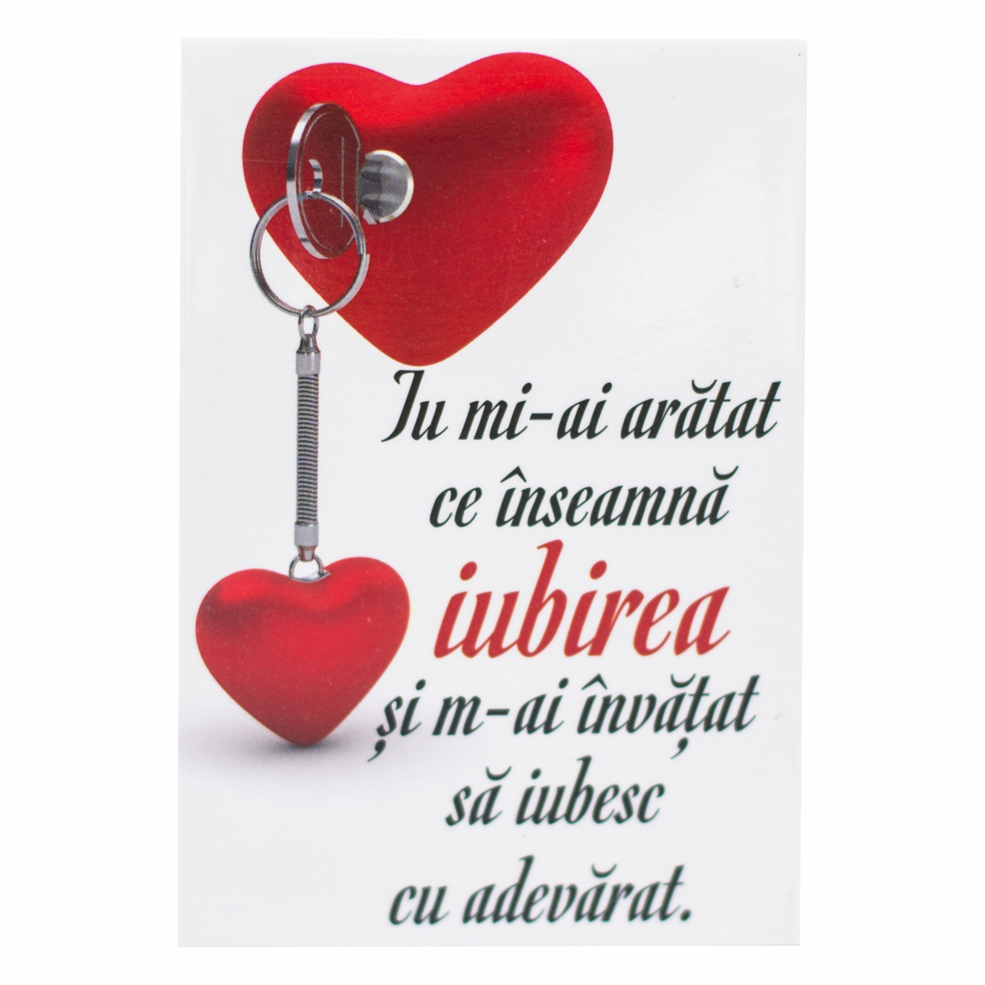 Magnet de frigider - Tu mi-ai aratat ce inseamna iubirea  (5.4  cm x 8  cm ) Magnet de frigider - Tu mi-ai aratat ce inseamna iubirea  (5.4  cm x 8  cm )