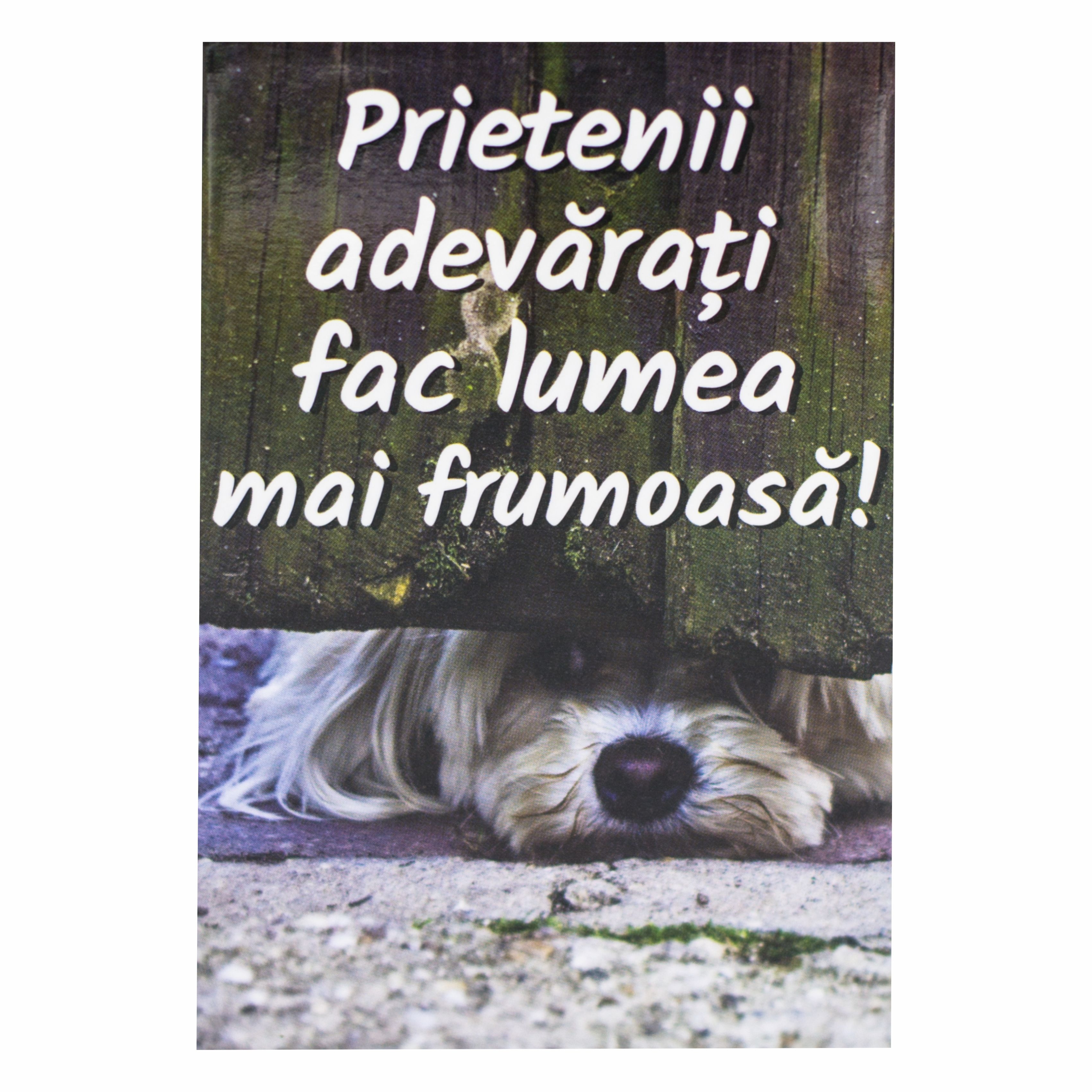 Magnet de frigider - Prietenii adevarati  (5.4  cm x 8  cm ) Magnet de frigider - Prietenii adevarati  (5.4  cm x 8  cm )