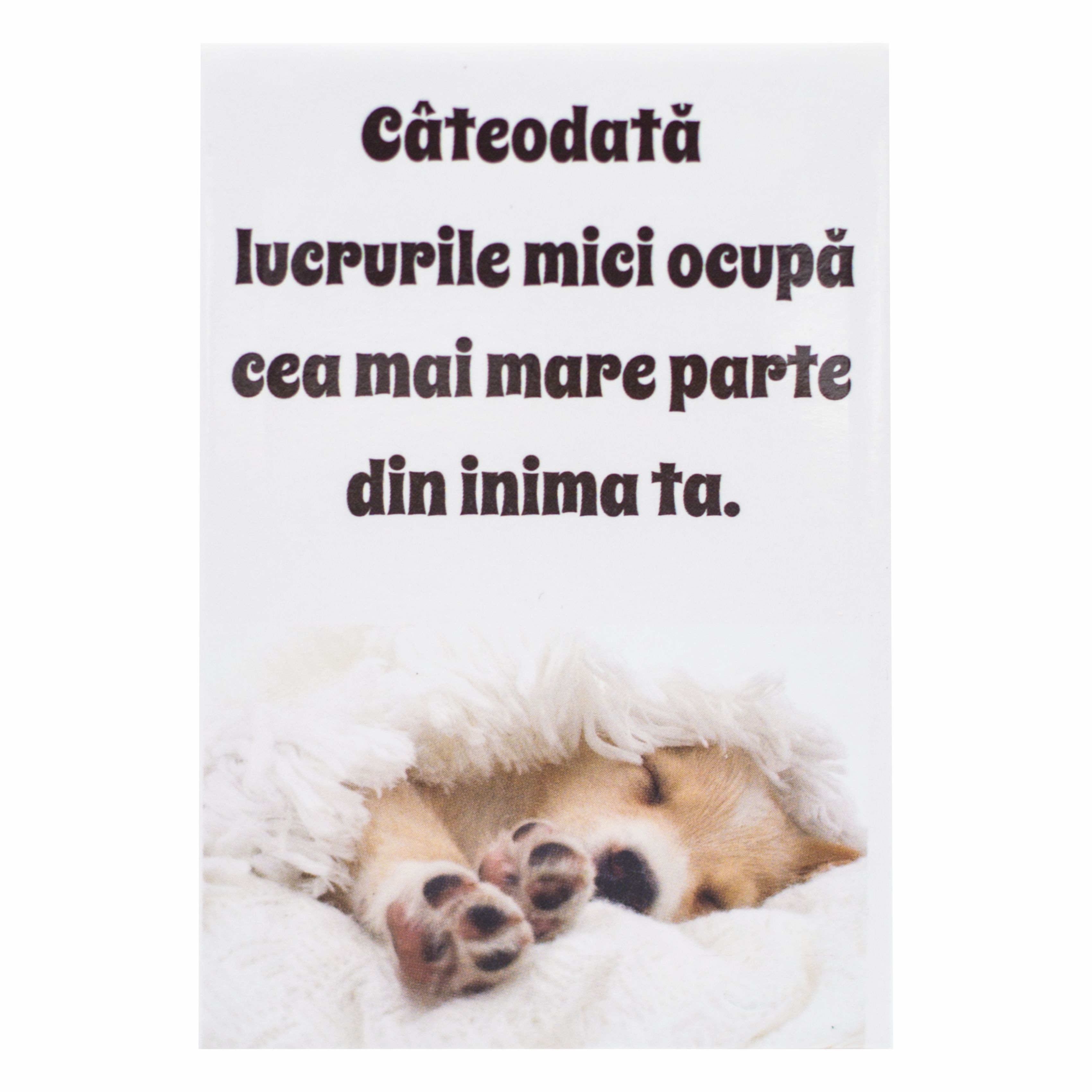 Magnet de frigider - Cateodata lucurile mici  (5.4  cm x 8  cm ) Magnet de frigider - Cateodata lucurile mici  (5.4  cm x 8  cm )