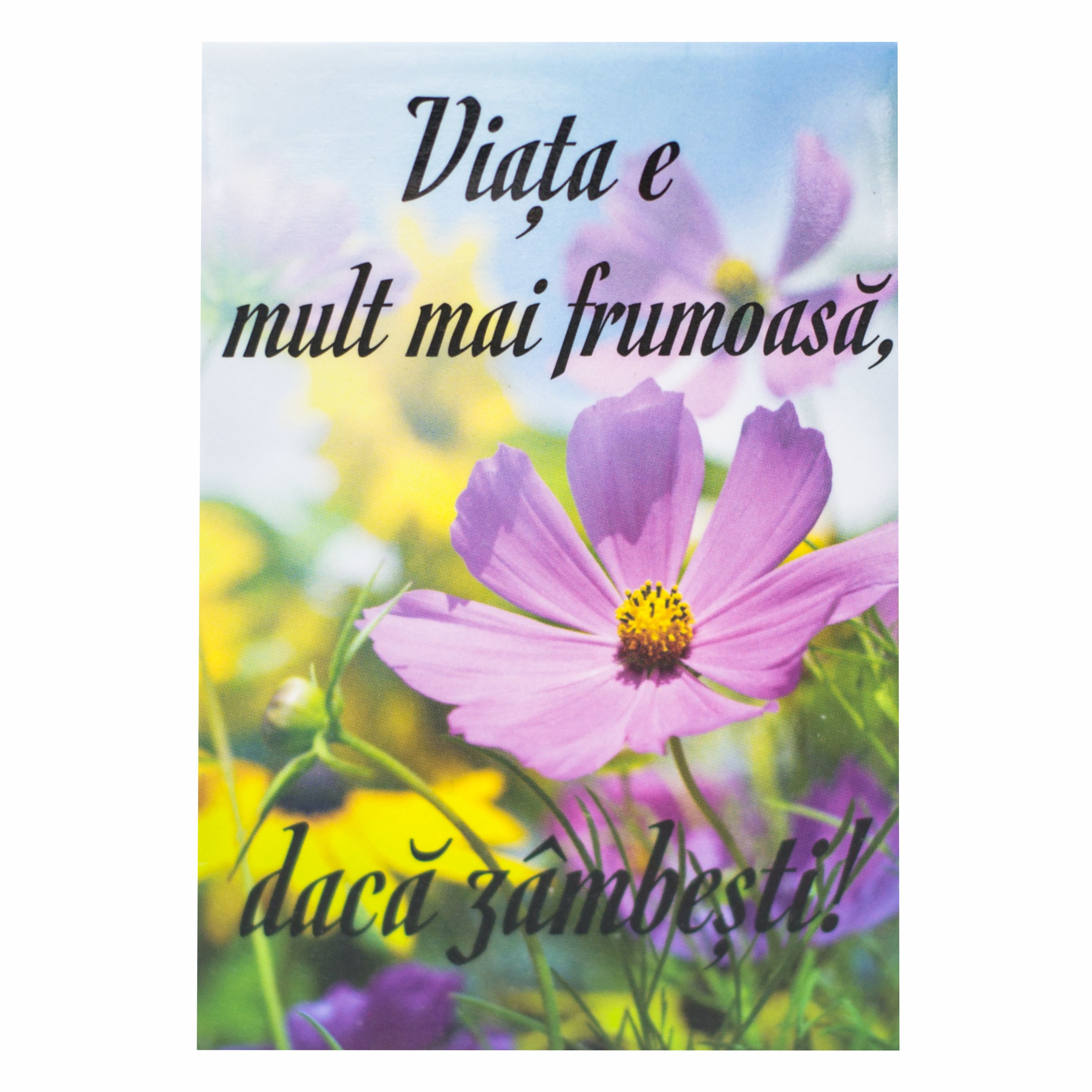 Magnet de frigider  - Viata este mult mai frumoasa (5.4  cm x 8  cm )