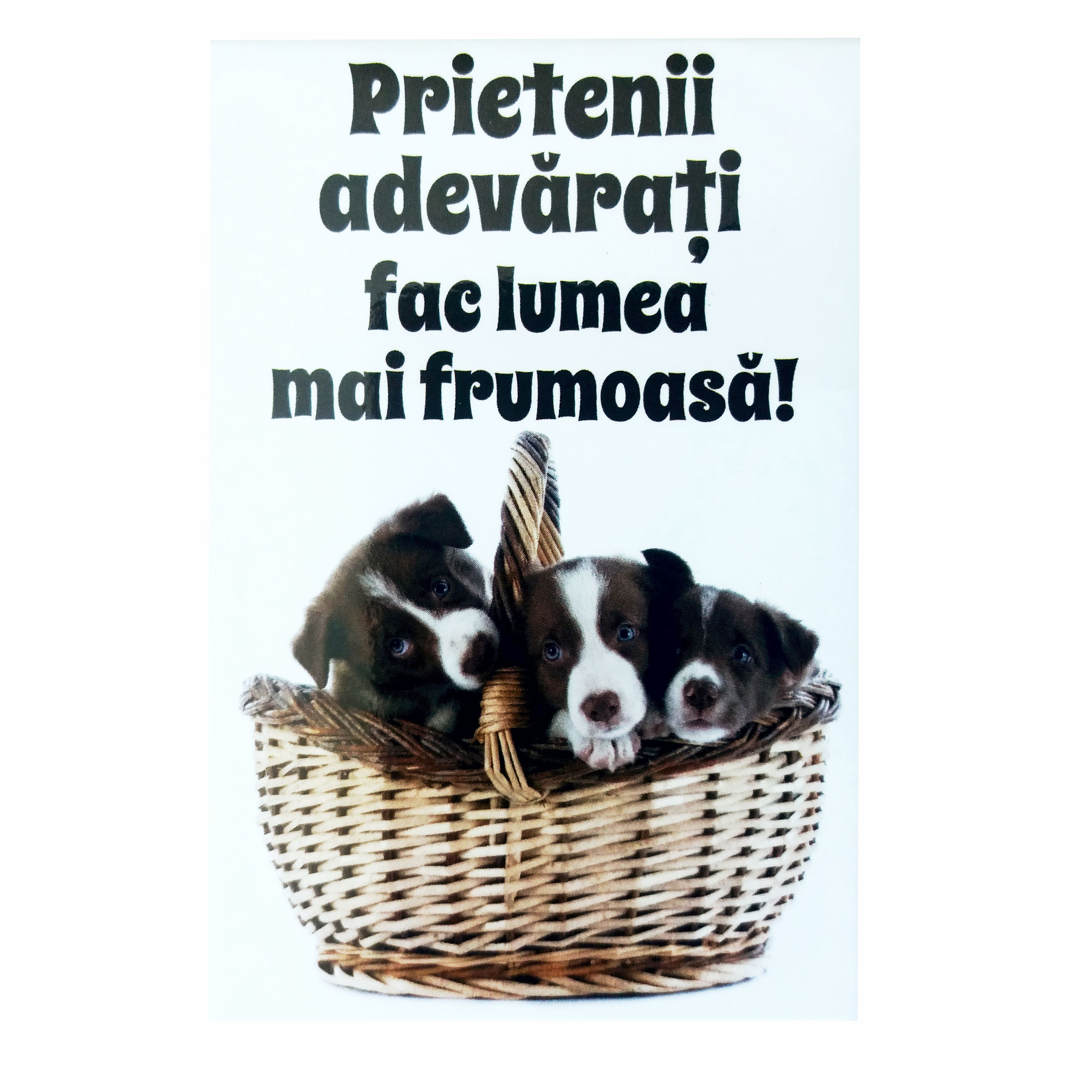 Magnet de frigider - Prietenii adevarati  (5.4  cm x 8  cm )