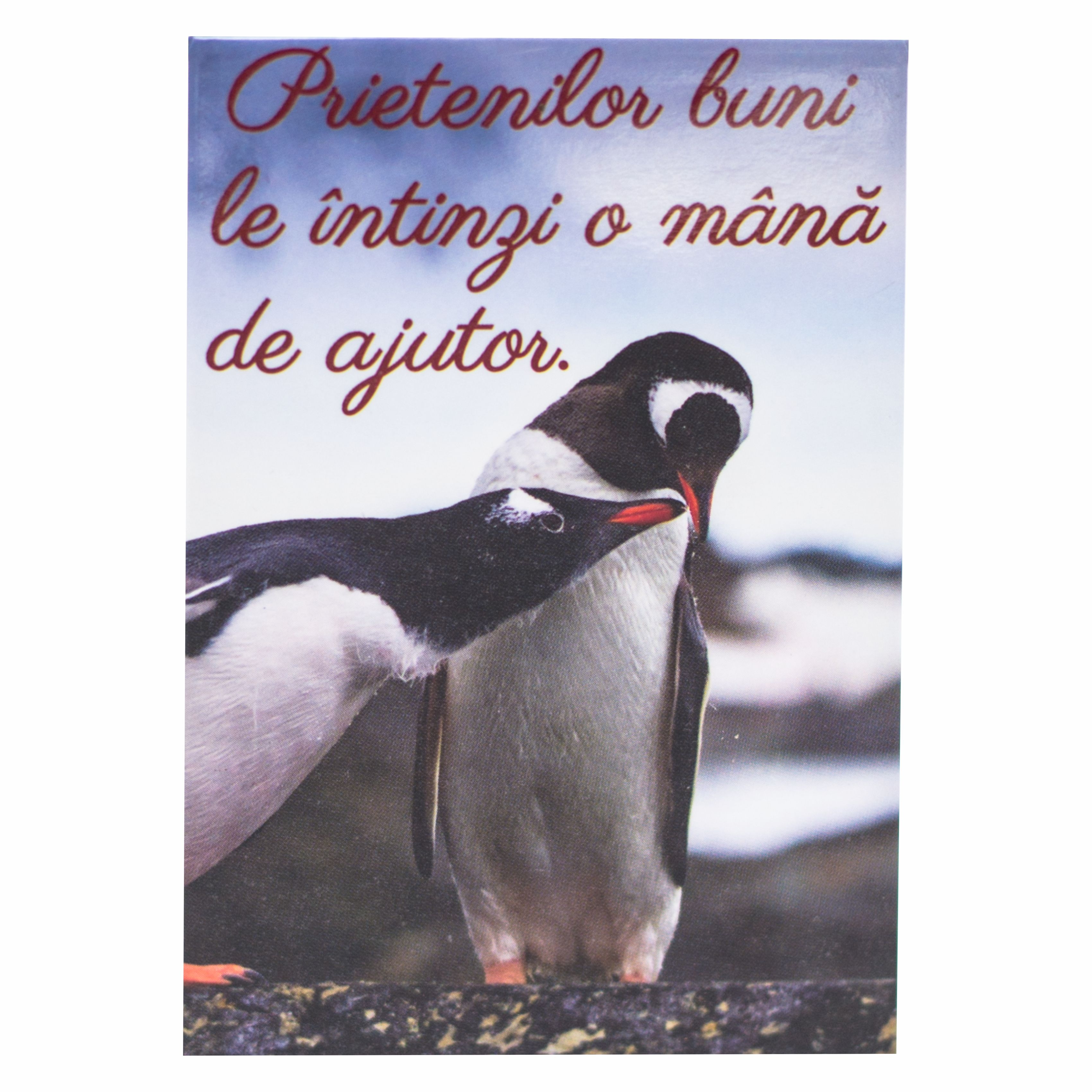 Magnet de frigider  - Prietenilor buni (5.4  cm x 8  cm ) Magnet de frigider  - Prietenilor buni (5.4  cm x 8  cm )