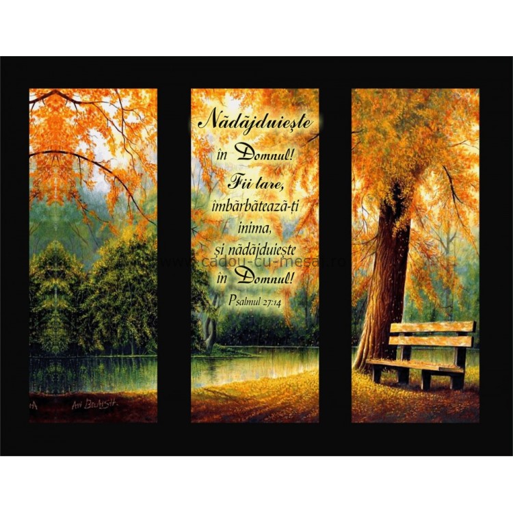 Placheta catifea - Nădăjduieste în Domnul Placheta catifea - Nădăjduieste în Domnul