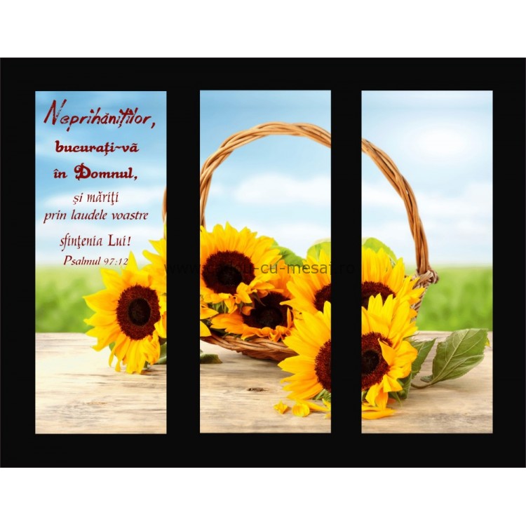 Placheta catifea - Neprihăniților bucurați-vă în Domnul Placheta catifea - Neprihăniților bucurați-vă în Domnul