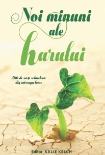 Noi minuni ale harului - Experiente din lucrarea evanghelistilor  cu literatura Noi minuni ale harului - Experiente din lucrarea evanghelistilor  cu literatura