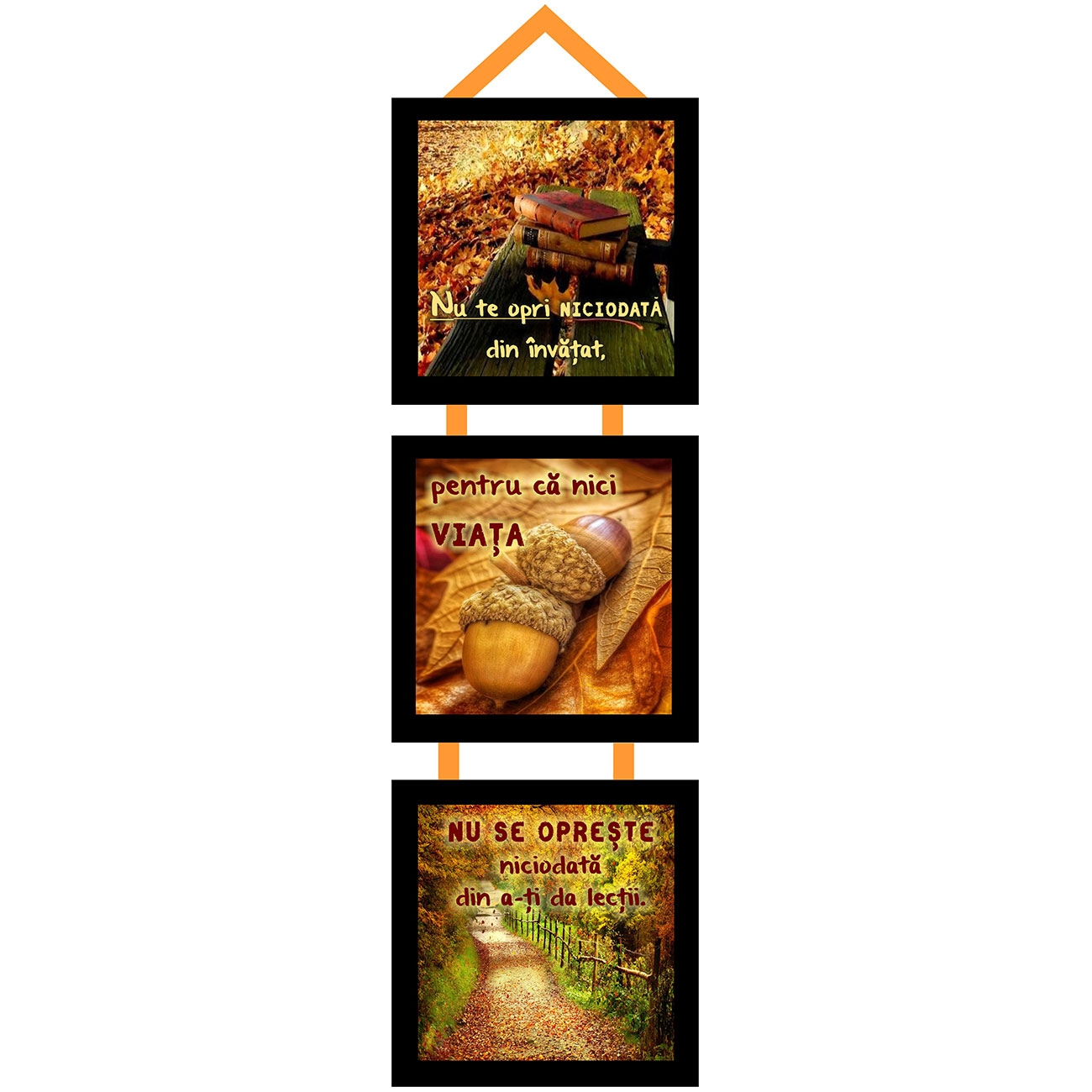 Set 3 mini tablouri - "Nu te opri din învățat..." Set 3 mini tablouri - "Nu te opri din învățat..."