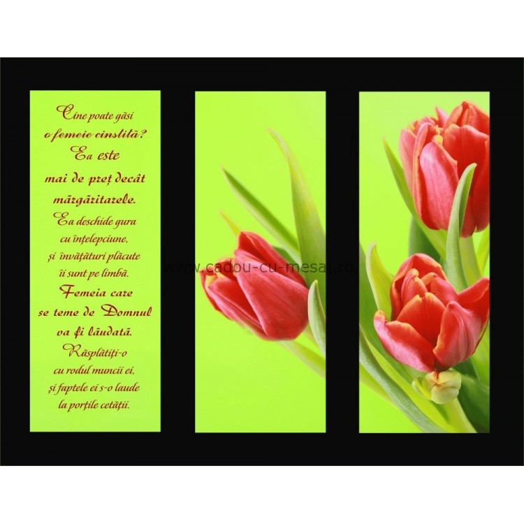 Placheta catifea - O femeie cinstită Placheta catifea - O femeie cinstită